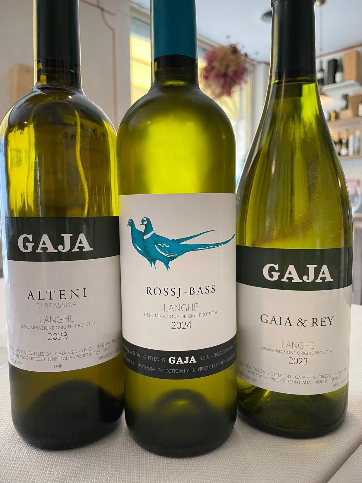 WhatsApp Image 2026-04-07 at 11.38.26 (1)