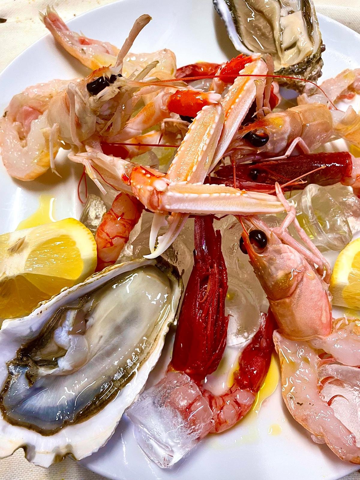 WhatsApp Image 2026-04-07 at 11.38.26 (6)