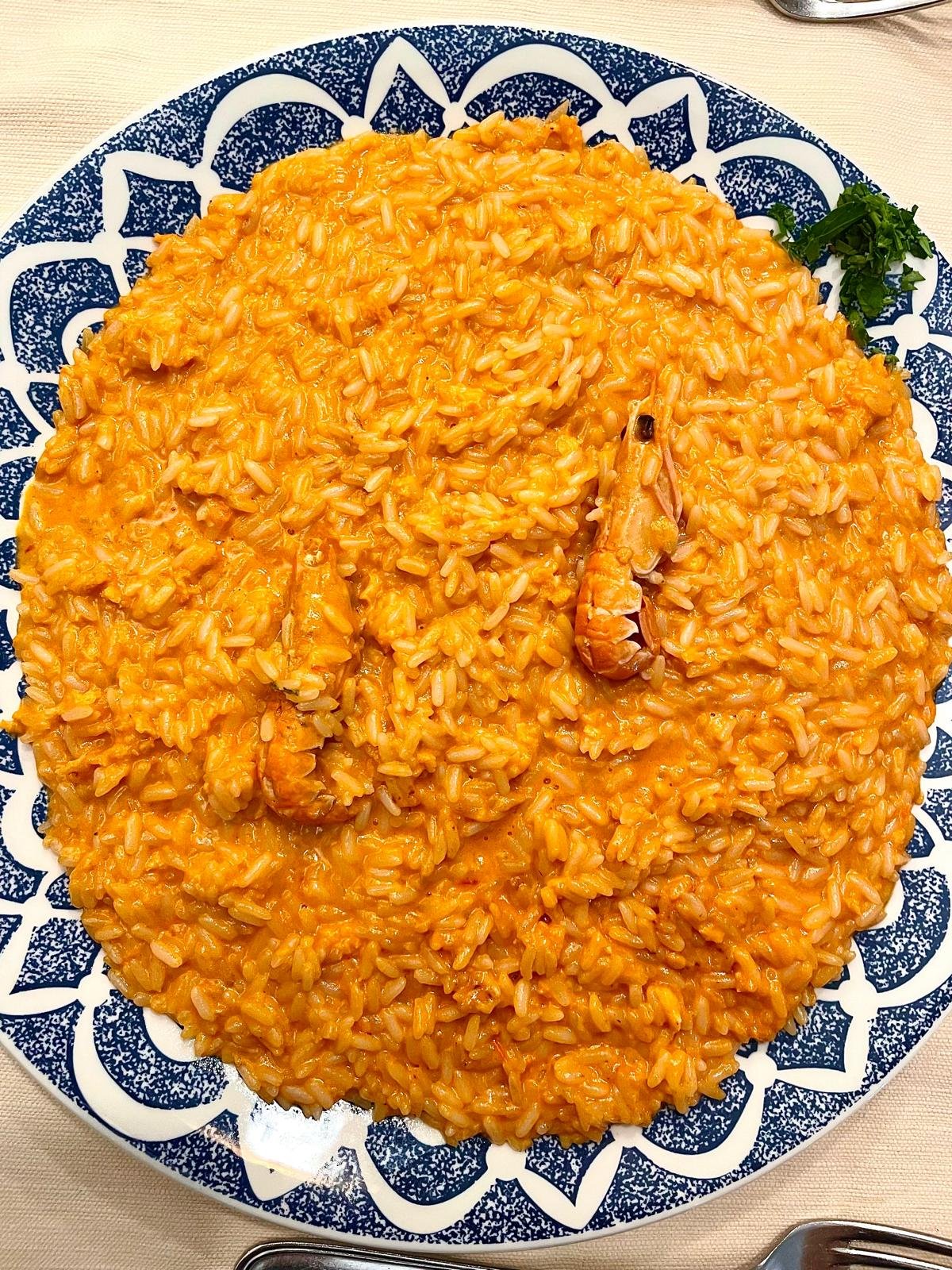 WhatsApp Image 2026-04-07 at 11.38.27 (4)