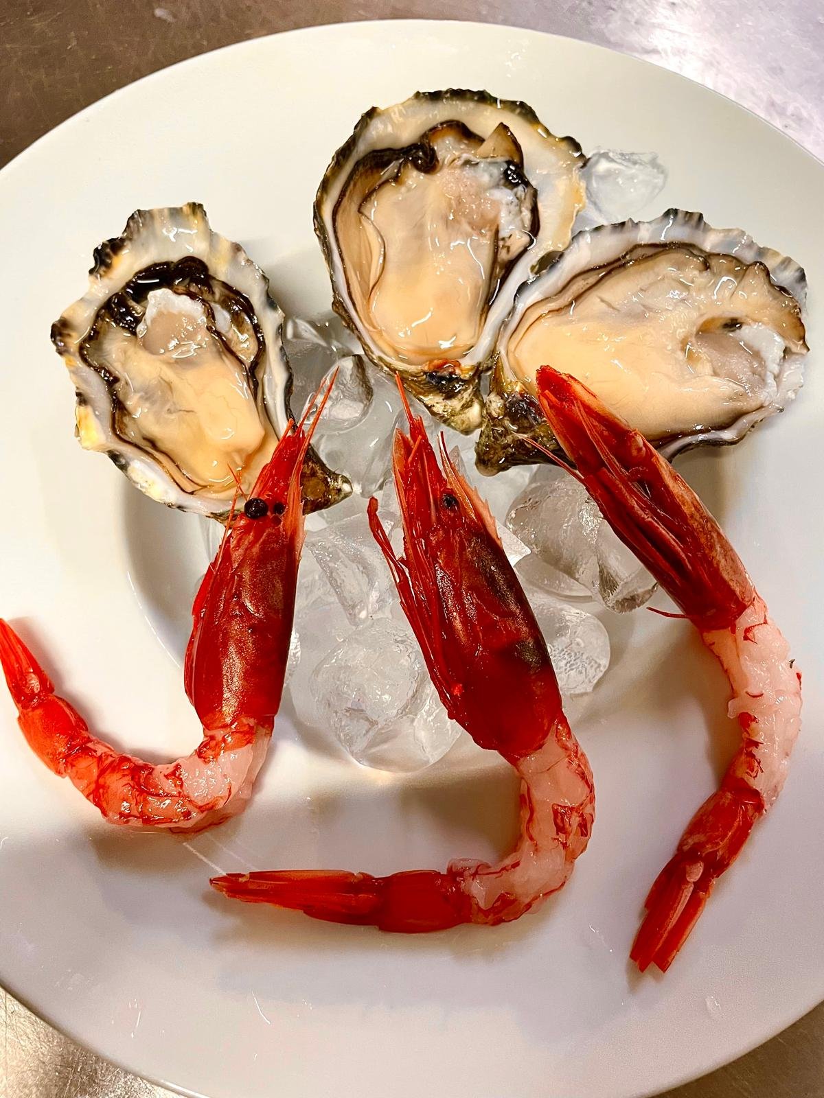 WhatsApp Image 2026-04-07 at 11.38.27 (5)