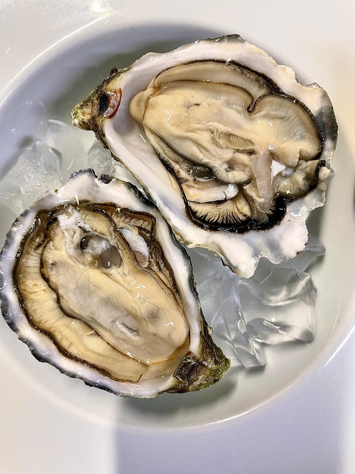 WhatsApp Image 2026-04-07 at 11.38.28 (3)