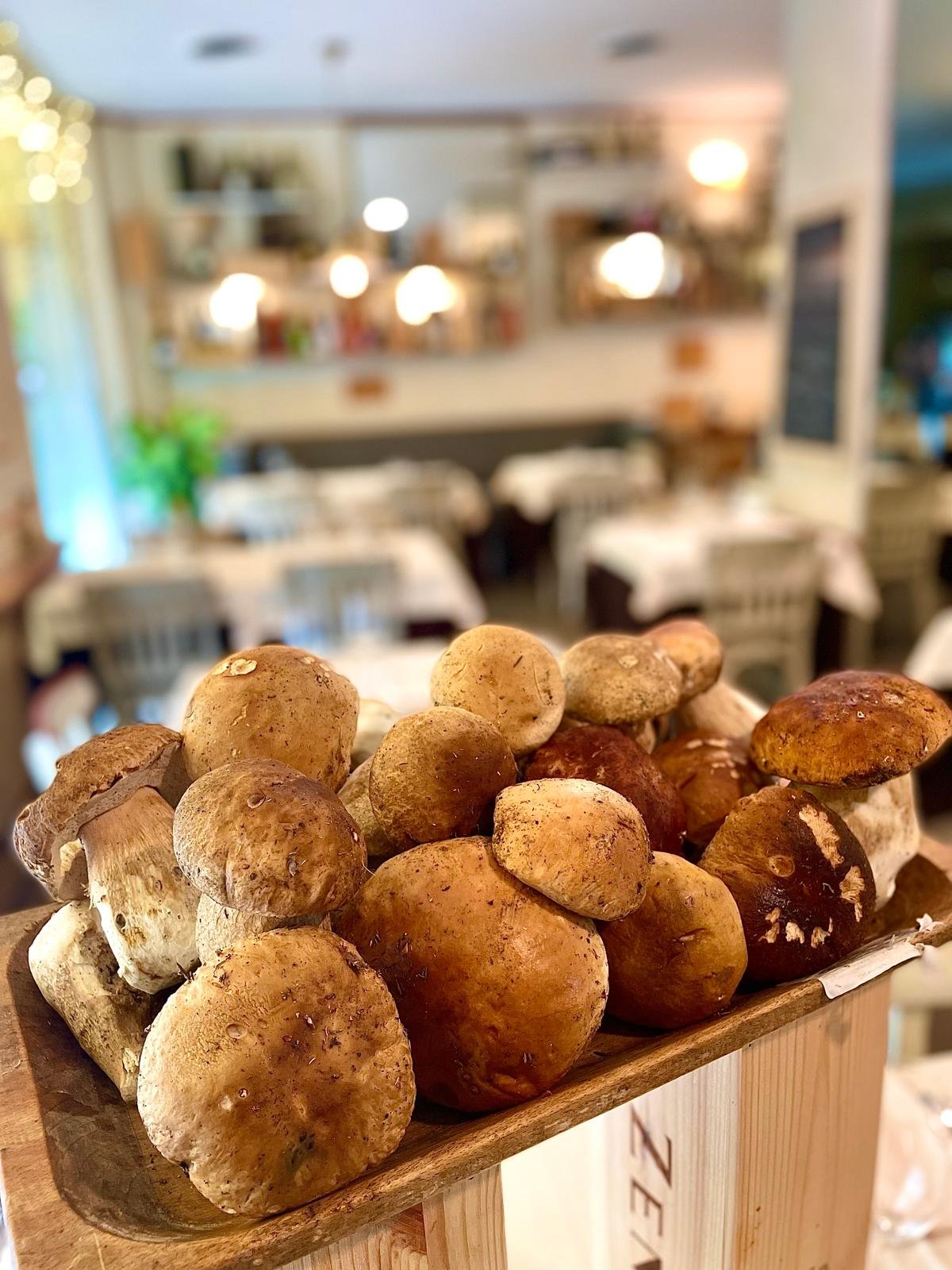 WhatsApp Image 2026-04-07 at 11.38.28