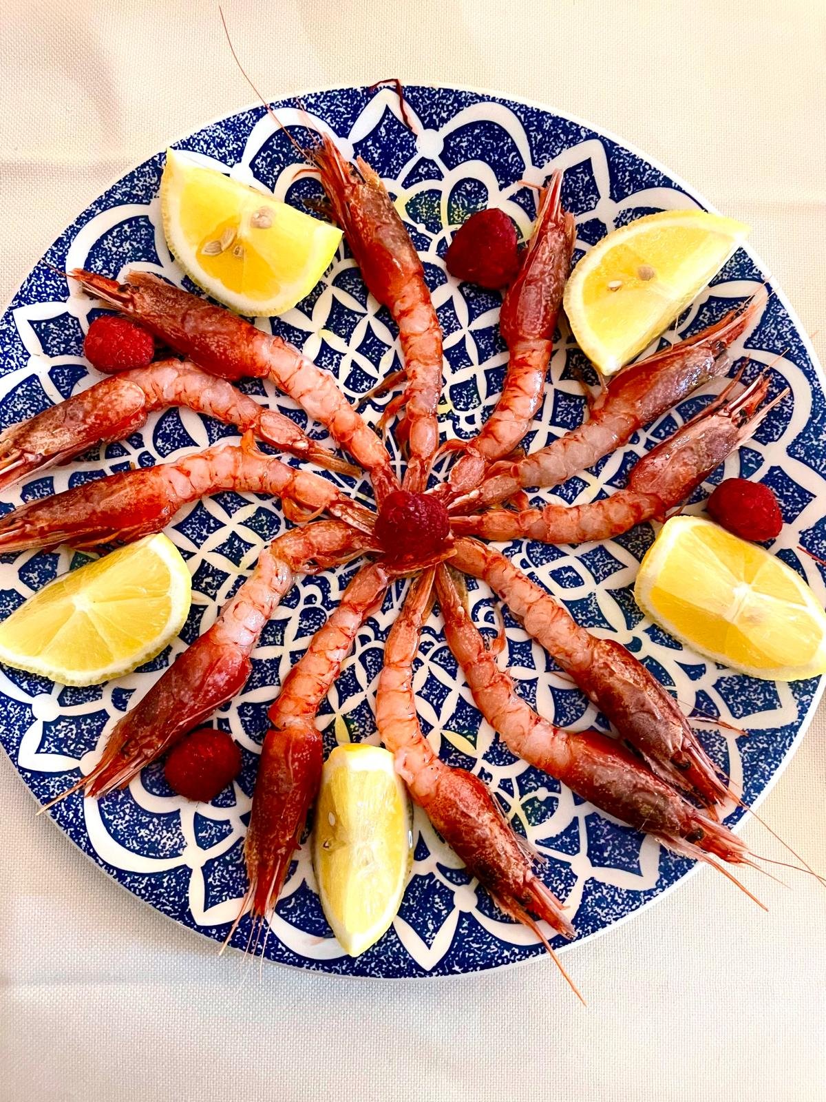 WhatsApp Image 2026-04-07 at 11.38.29 (4)