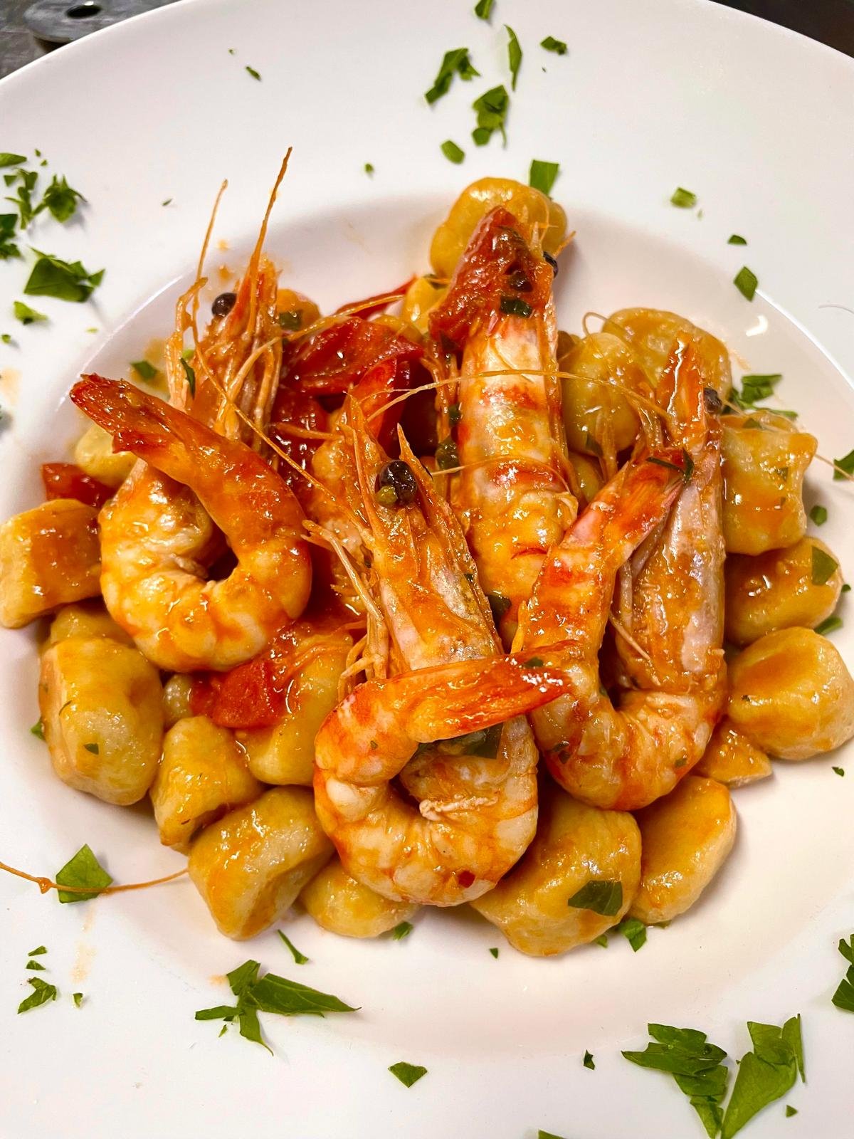 WhatsApp Image 2026-04-07 at 11.38.30